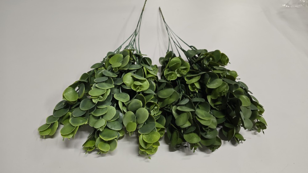 Eukaliptus 6szt AN-Z492   10,-