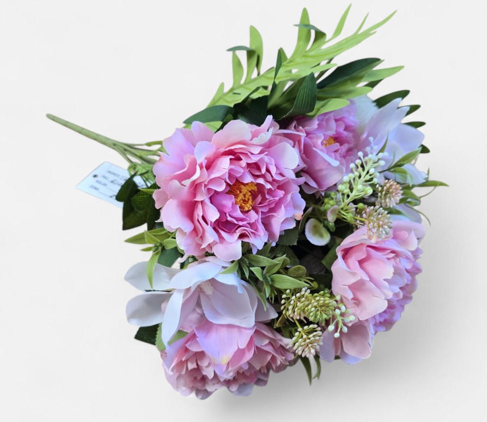 B.piwonia magn.AN-60252609  28,20