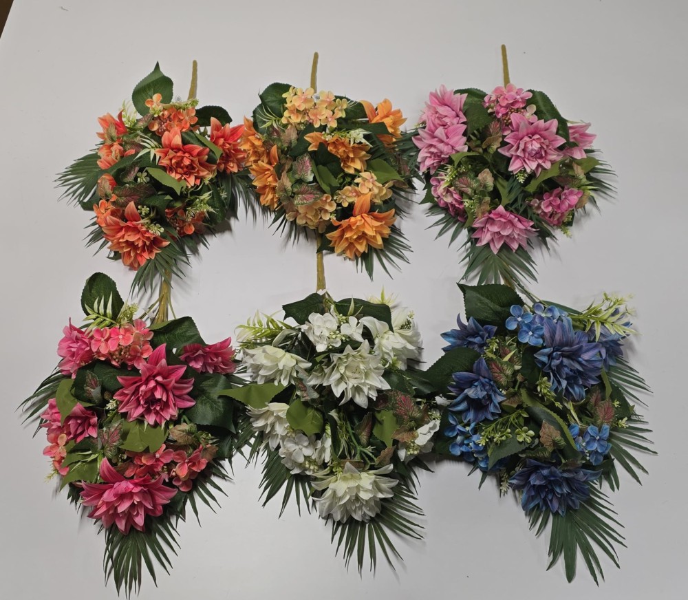 Buk.dalia hort.AN-T60241590-3   25,90