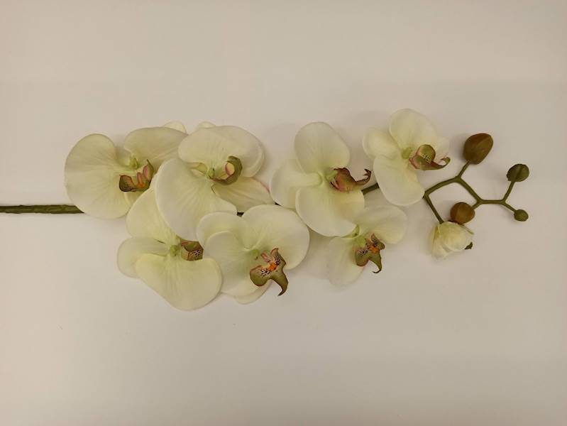 Kw.storcz.AD-159  17,20