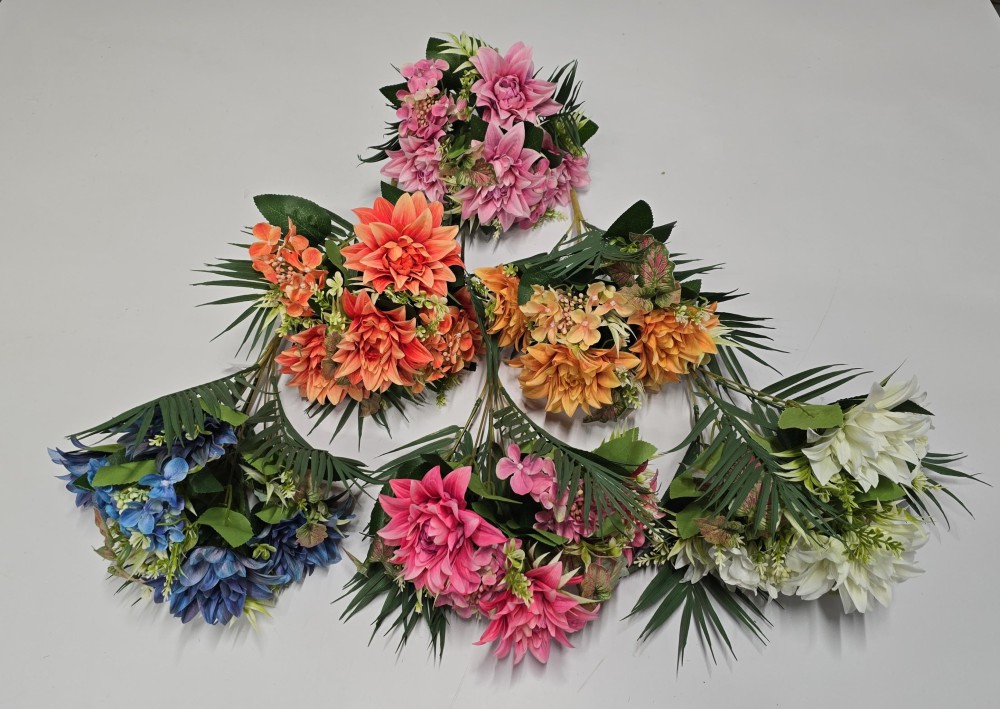 Buk.hort.dalia  AN-T60-24-1590-2  17,90