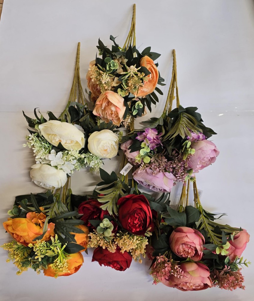 B.piwonia AN-T60-72  30,60