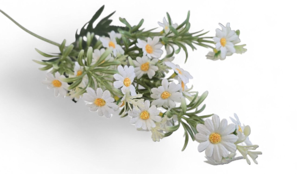 Margaretka AN-37253542   5,-