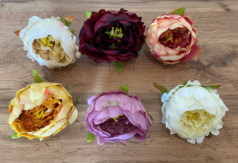 Piwonia wyr.12szt AN-P42-20-130  25,50