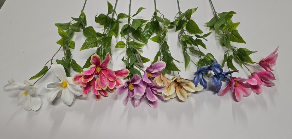 Storczyk AN-T202-24-1463  6,-