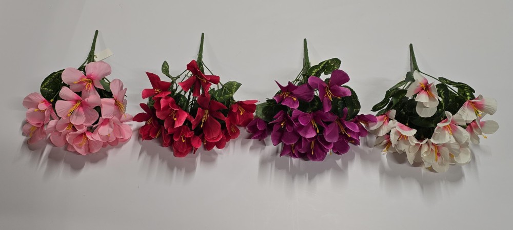 Buk.fiołek AN-T125242431  7,50