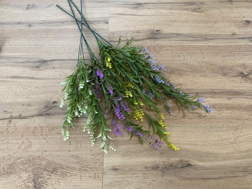 Lawenda AN-CYC17  3,20