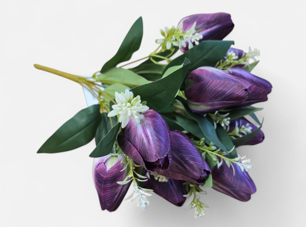 B.ulipan AN-60252651  16,70