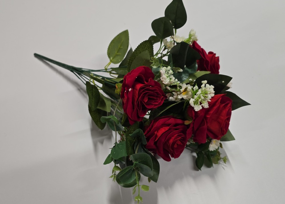 B.róża wel.AN-14253519   20,50