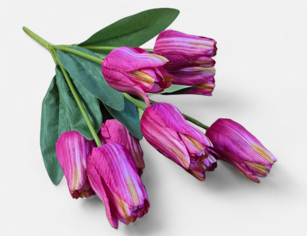 B.tulipan AN-107253509  9,80