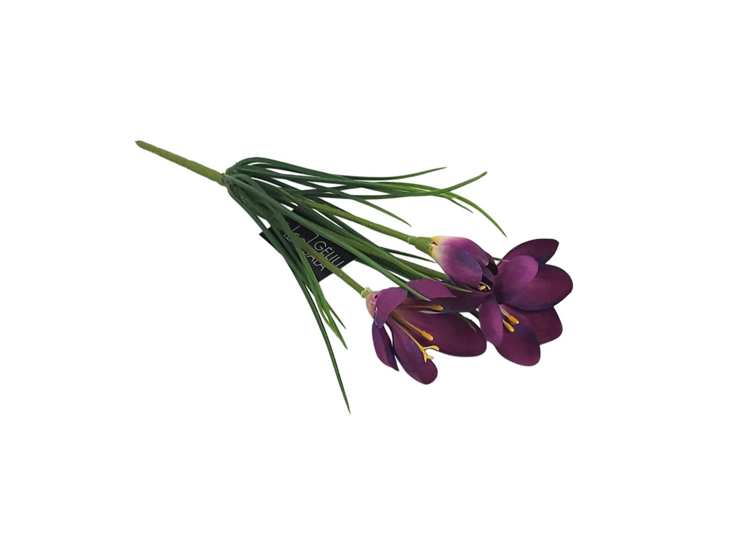 Krokus GS-KLS2693  6,80