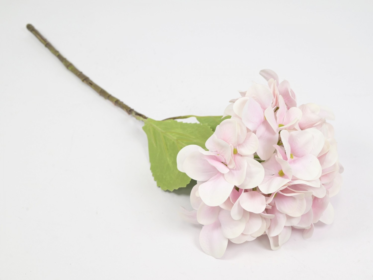 Hortensia GS-2030234622  13,80