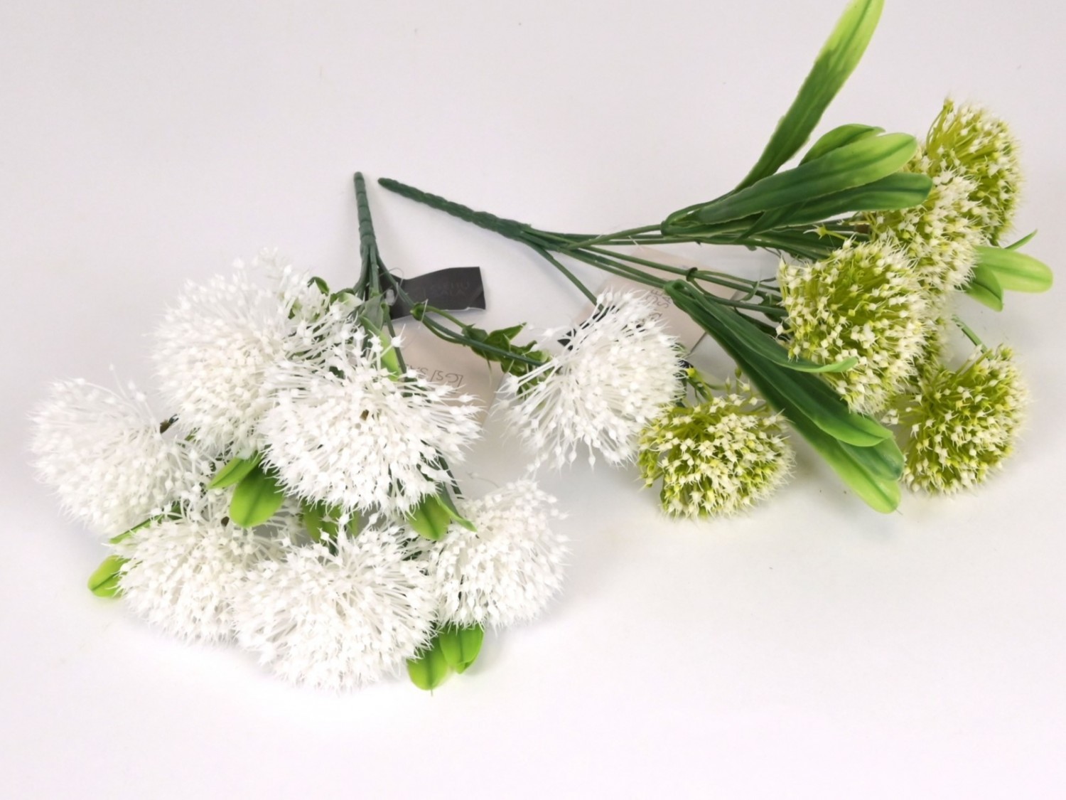 B.czosnek GS-2030232405  4,-