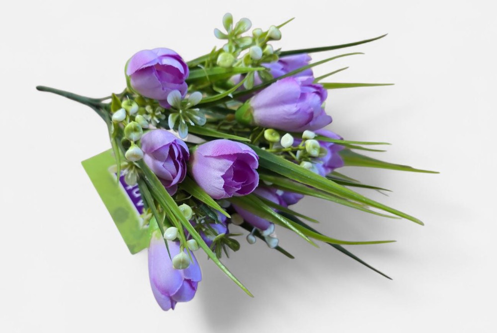 B.krokus AN-T107-25-2816  7,50