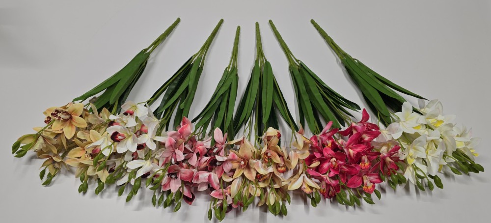 B.storczyk AN-T9805  16,70