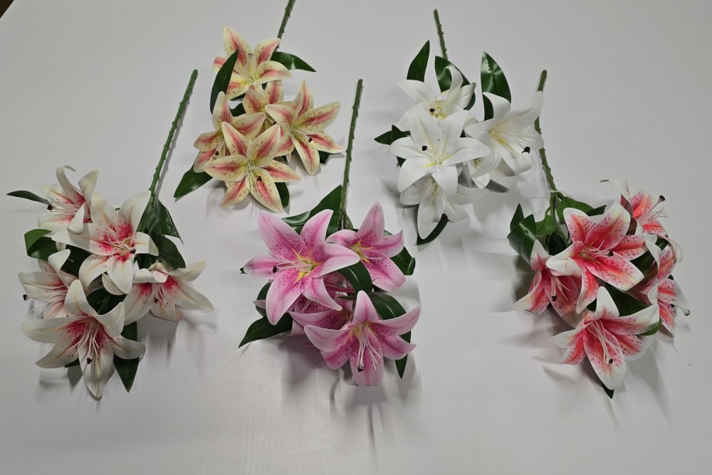 Lilia 5 AN-T98241178  10,50