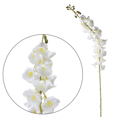 Hibiskus gał.PW-1191  5,80