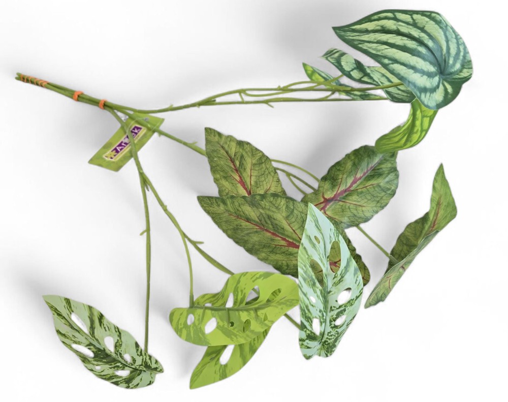 Liście AN-T3252707  2,-