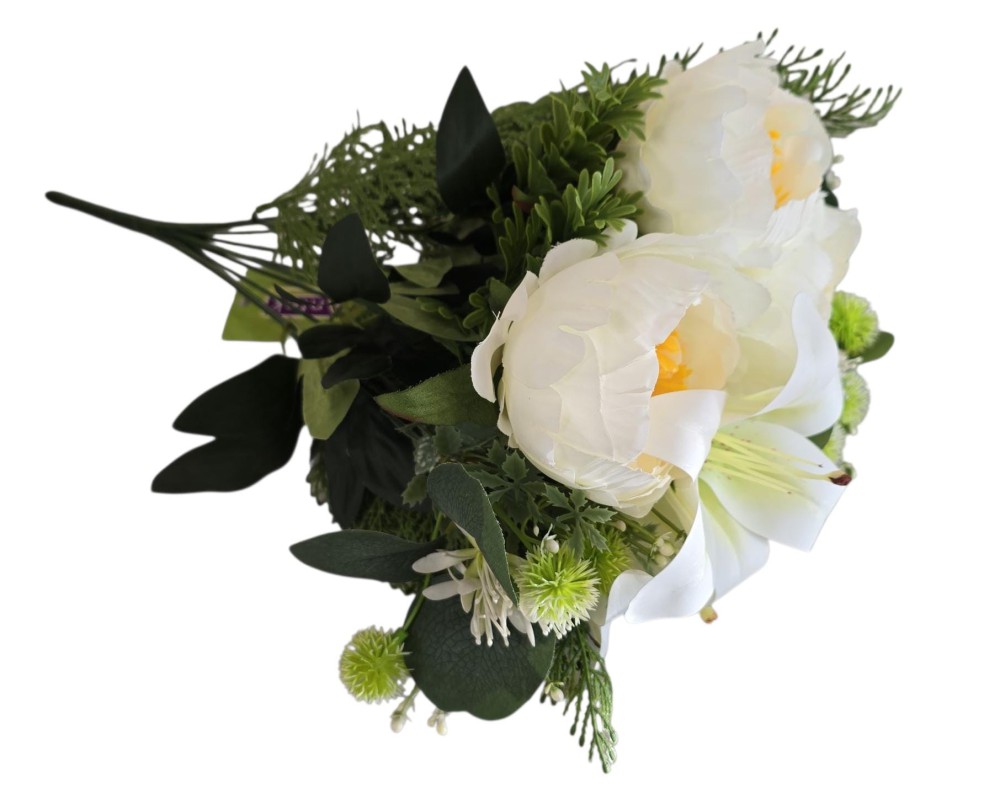 B.piwonia lilia AN-T206253825  24,80