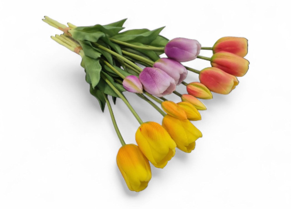 B.tulipan guma AN-T107253500  17,20