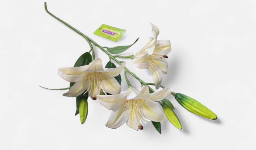 Lilia 3 AN-T62253528  8,70