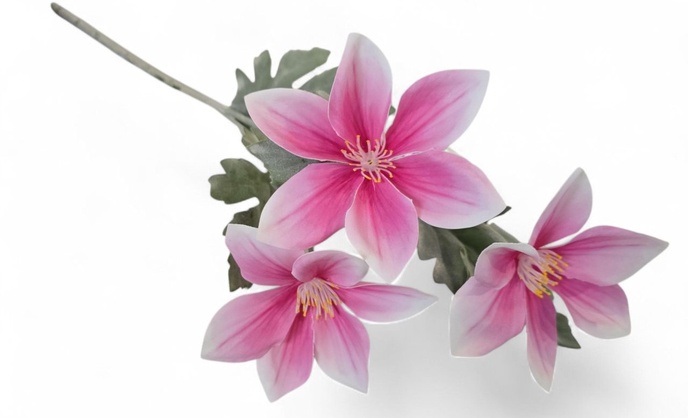 Magnolia AN-T202253132  5,20