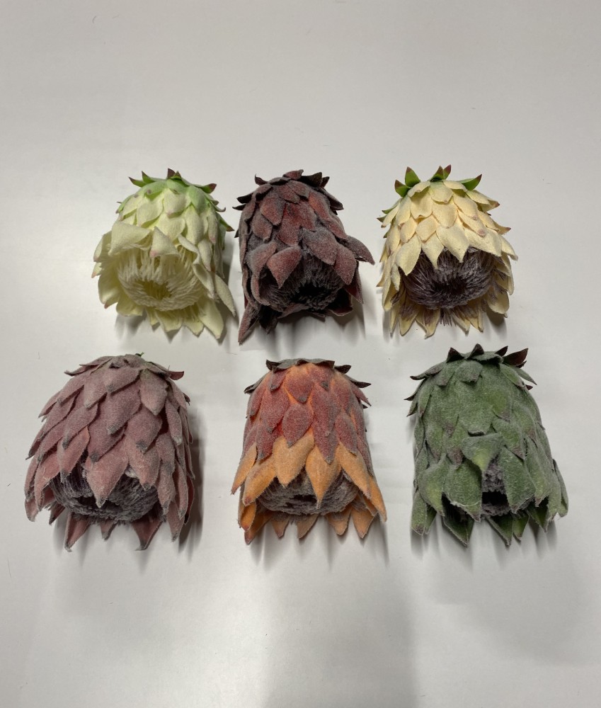 Karczoch wyr.AN-T1942425110  7,50