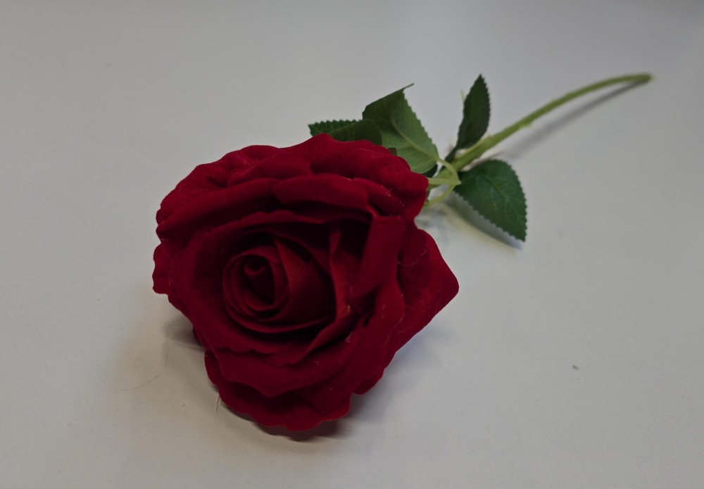 Róża welur AN-T100 2,90