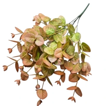 B.eukaliptus LR-402   6,-