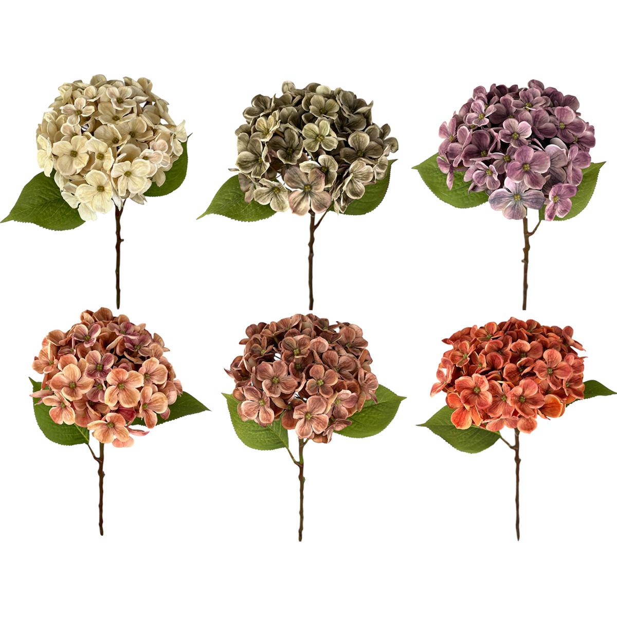 Hortensia TG-31008  12,80