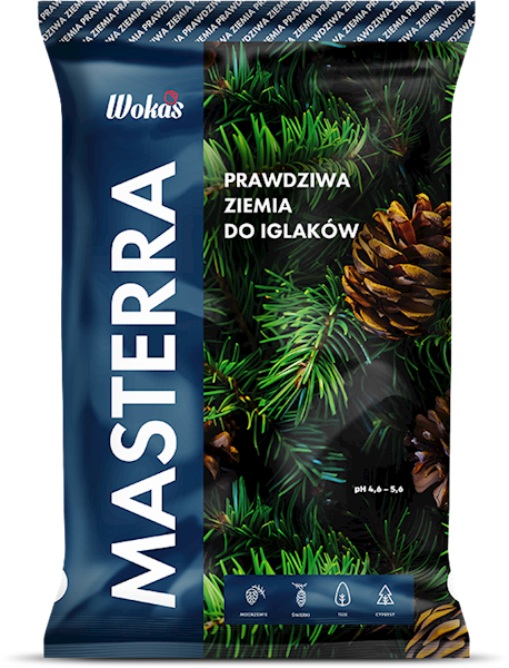 WOKAS ZIEMIA DO IGLAKÓW 50L S.