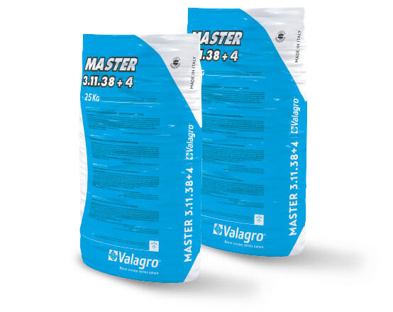 MASTER 3-11-38+4 25KG