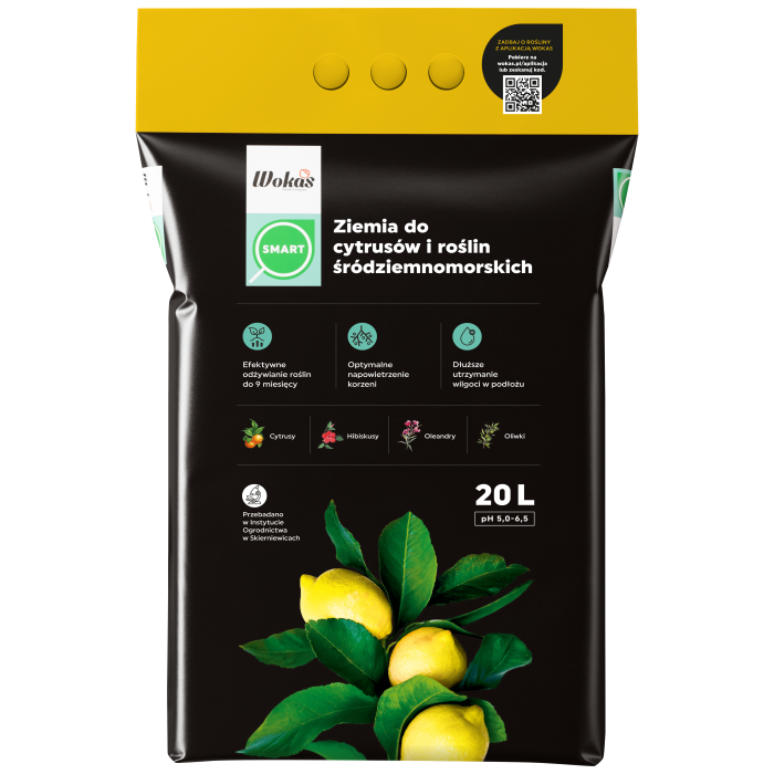 WOKAS CYTRUSY I ROŚL. ŚRÓDZ. 20L