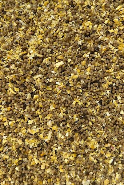 Club Series - Method Mix -Dynamic Corn - Natural 