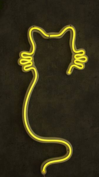 neon Kot wąsaty 21x44 cm