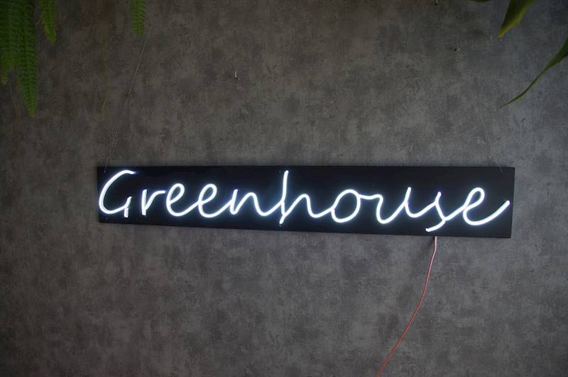 neon Greenhouse 100x16 cm
