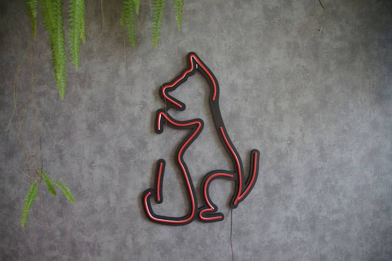 neon Kot i Pies 45x63 