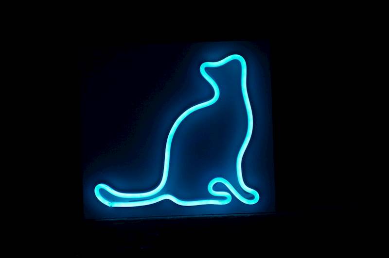 neon Kot w zadumie  20x19,5 cm