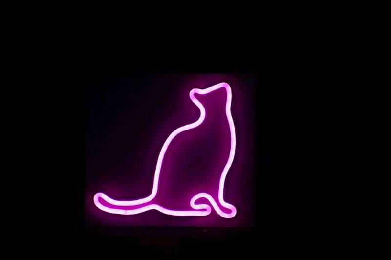 neon Kot w zadumie  20x19,5 cm