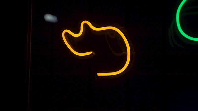 neon Kot prosty 18x17cm