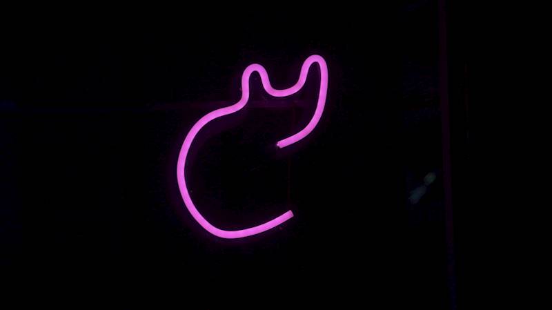 neon Kot prosty 18x17cm