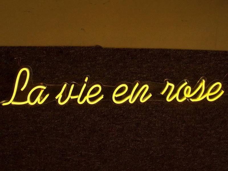 neon La vie en rose 70x13 cm 