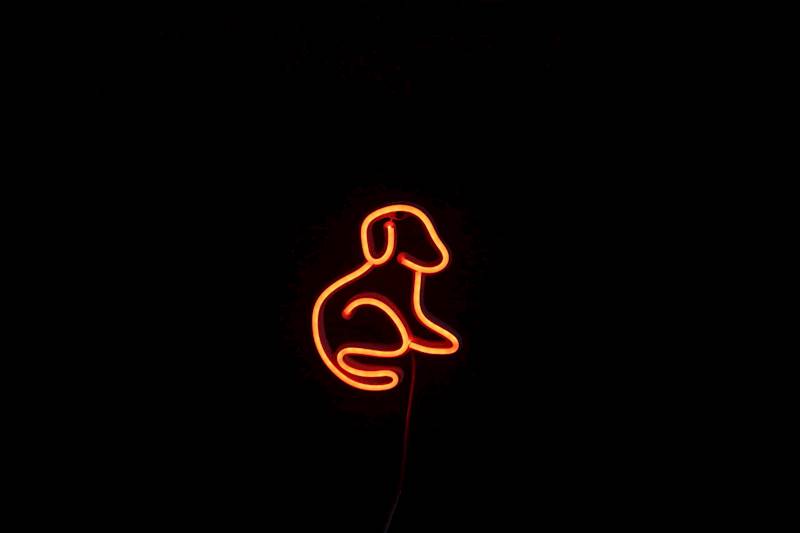 neon Piesek 16x19cm