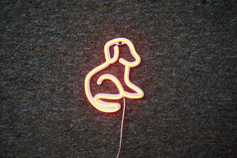neon Piesek 16x19cm