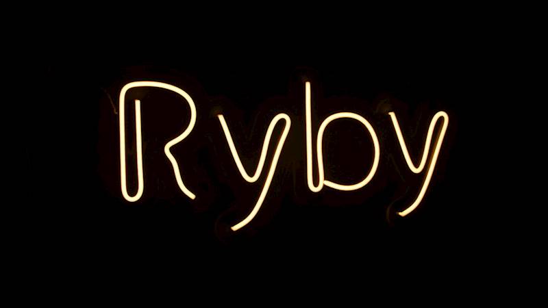 neon Ryby 62x29 cm 
