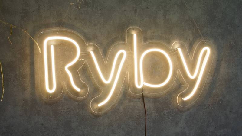 neon Ryby 62x29 cm 
