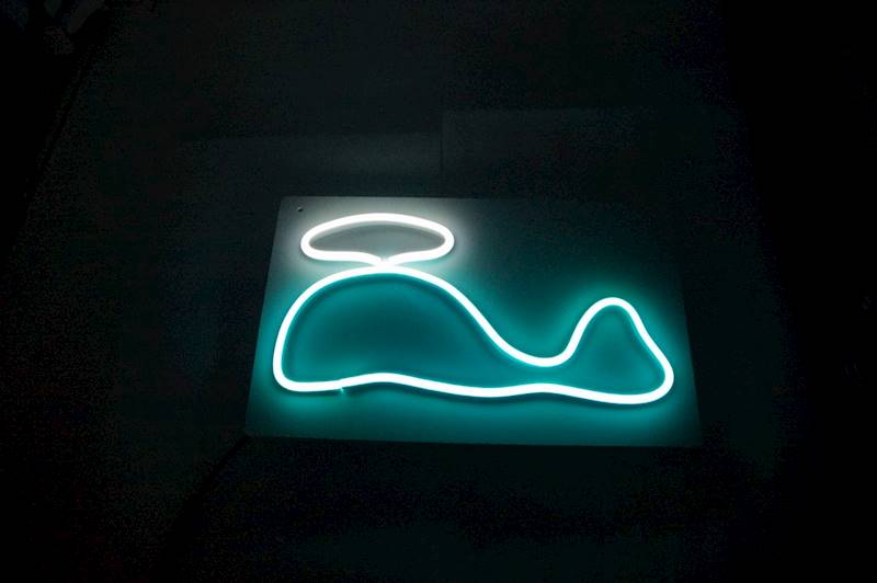 neon Wieloryb 23x16cm