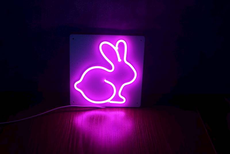 neon Królik 20x20 cm