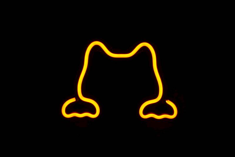 neon Kot słodki 20x14 cm