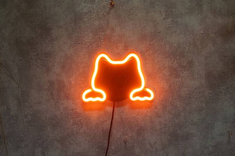 neon Kot słodki 20x14 cm